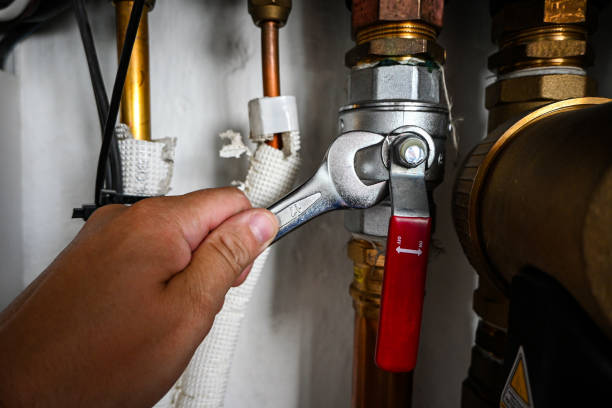 Best Plumbing Services Near Me  in Mahomet, IL